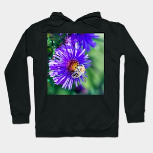 Bee 18 Hoodie